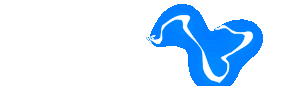 Logo NEKATWIN NetGame Zeus's Lightning Blaze